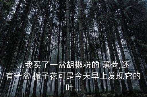 ...我買了一盆胡椒粉的 薄荷,還有一盆 梔子花可是今天早上發現它的葉...