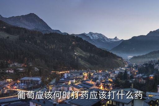 葡萄葉子噴什么農藥