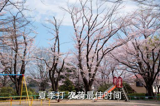 什么時候噴施農藥最好,石硫合劑在什么時候噴施效果最好
