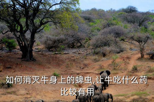 殺蜱蟲什么農(nóng)藥最有效,菜蟲用什么農(nóng)藥殺比較好?