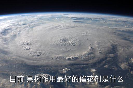 果樹農藥花什么保,果樹打什么農藥,啥時候打