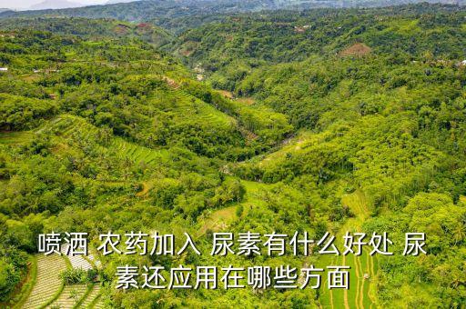 尿素用什么農藥可以溶解,什么東西溶解尿素比較快
