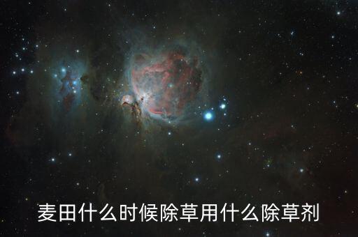 麥田什么時候除草用什么除草劑