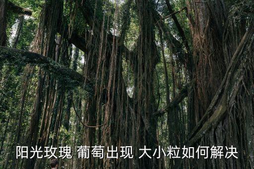 葡萄大小粒用什么農(nóng)藥,葡萄一般打什么農(nóng)藥