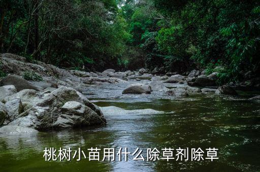 桃樹什么時候打什么農藥,種植桃樹用什么農藥好