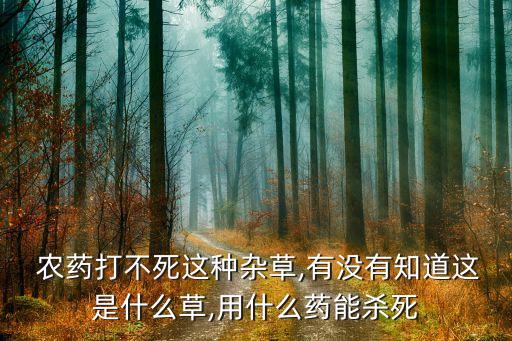 紅花扁豆打什么農(nóng)藥