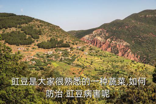 豇豆為什么有農(nóng)藥味,豇豆一股農(nóng)藥味