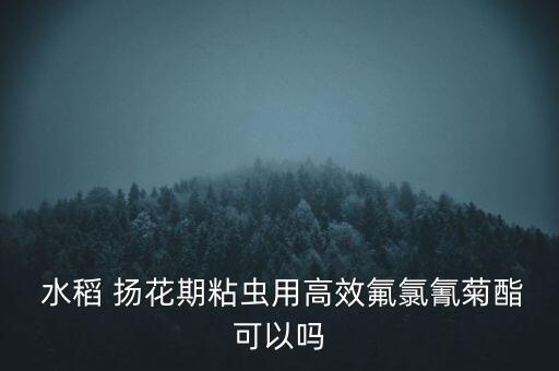  水稻 揚花期粘蟲用高效氟氯氰菊酯可以嗎