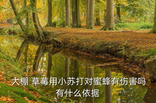  大棚 草莓用小蘇打對蜜蜂有傷害嗎有什么依據