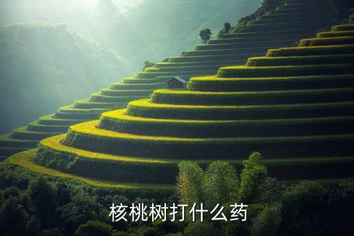  核桃樹打什么藥
