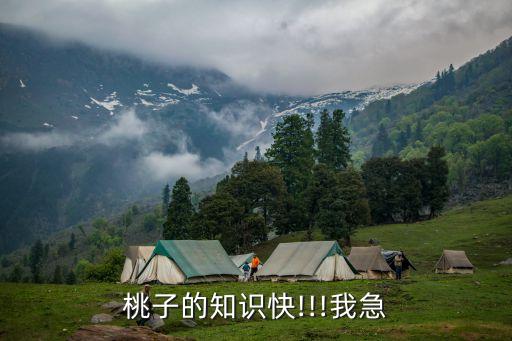 桃子的知識快!!!我急