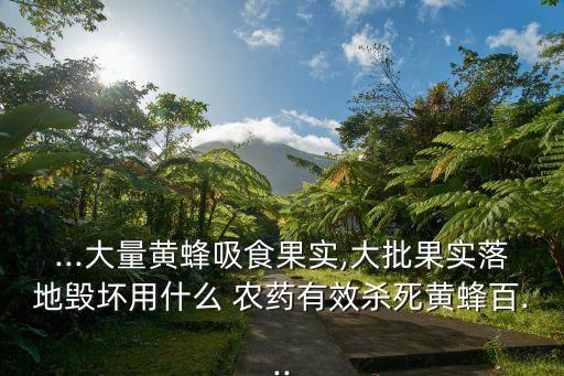 水果針鋒用什么農藥,吃了農藥的水果什么癥狀