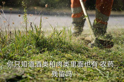 什么都是農(nóng)藥殘留,農(nóng)藥殘留用什么方法最有效