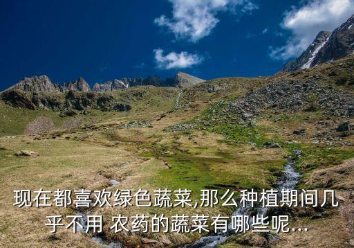 什么菜一點不放農藥