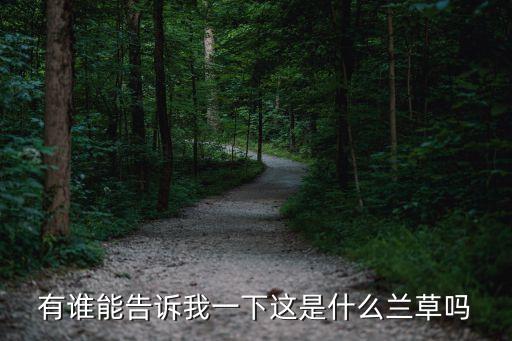 有誰能告訴我一下這是什么蘭草嗎