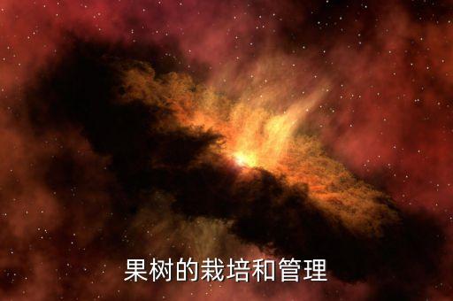 果樹的栽培和管理