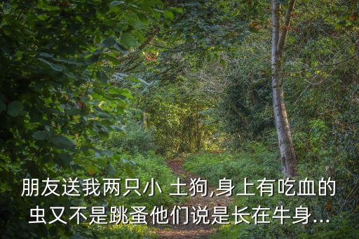 朋友送我兩只小 土狗,身上有吃血的蟲又不是跳蚤他們說是長在牛身...