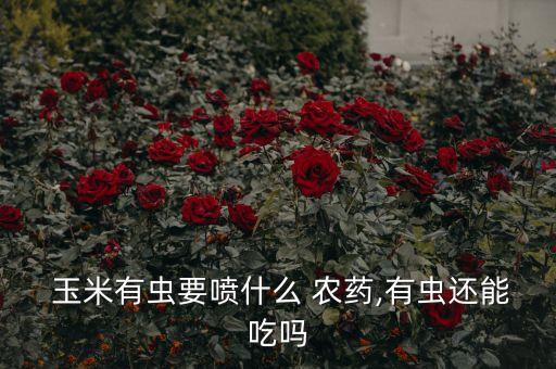  玉米有蟲要噴什么 農(nóng)藥,有蟲還能吃嗎