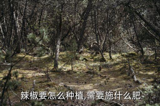  辣椒要怎么種植,需要施什么肥