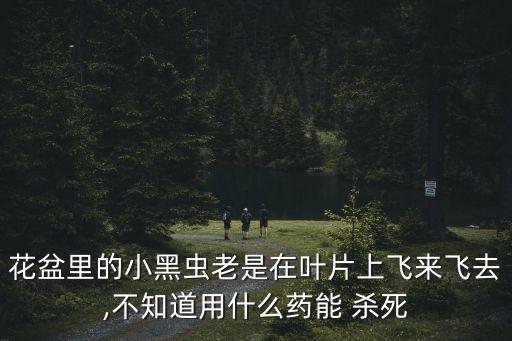 花盆里的小黑蟲老是在葉片上飛來飛去,不知道用什么藥能 殺死