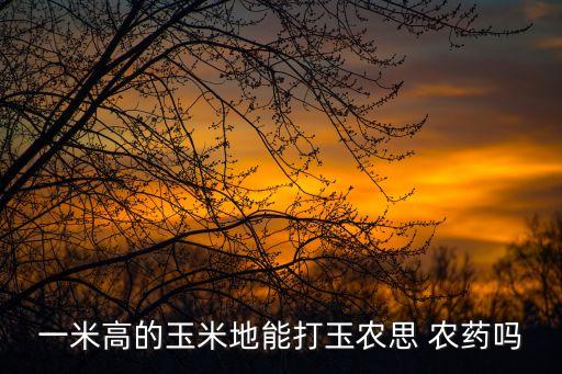一米高的玉米地能打玉農思 農藥嗎