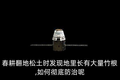 春耕翻地松土時發現地里長有大量竹根,如何徹底防治呢
