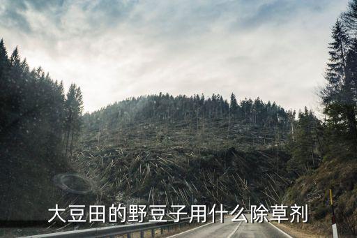 黃豆花期打什么農藥推薦,黃豆用什么農藥