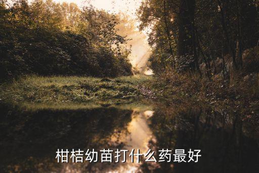 柑橘噴什么農藥,柑橘花期用什么農藥
