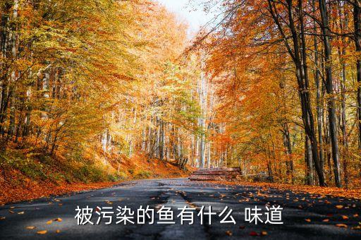 被污染的魚有什么 味道