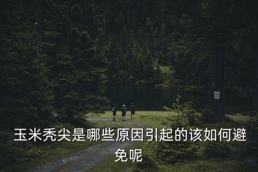 防止玉米禿尖用什么農(nóng)藥,玉米在保存中要防止什么菌