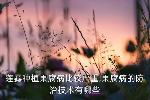 蓮霧種植果腐病比較嚴重,果腐病的防治技術有哪些