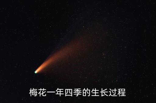 當(dāng)前紅梅治蟲用什么農(nóng)藥