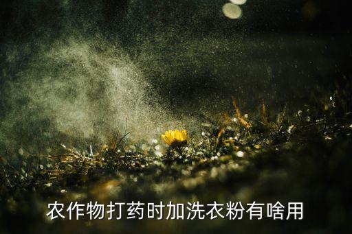 噴施農藥里加點什么效果好