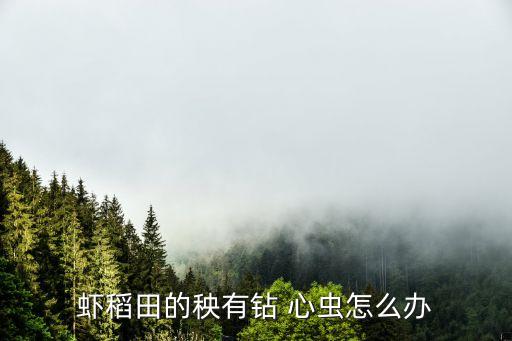 水稻穿心蟲噴什么農藥