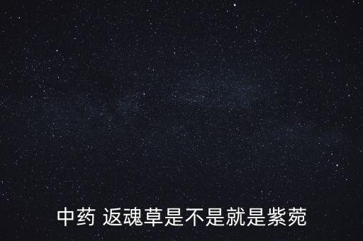 中藥 返魂草是不是就是紫菀