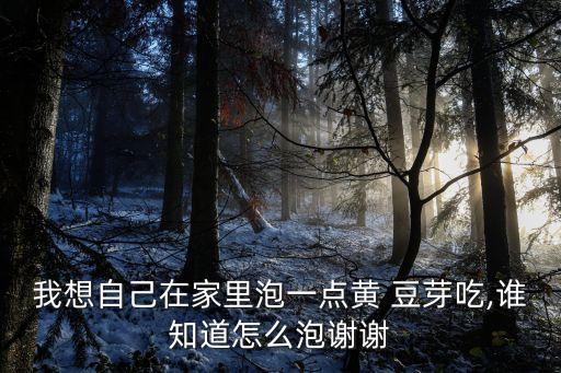 我想自己在家里泡一點黃 豆芽吃,誰知道怎么泡謝謝
