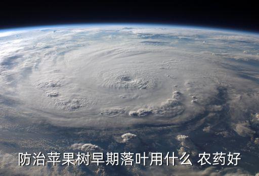 葉子噴什么農藥最好用,發財樹葉子上噴什么最好