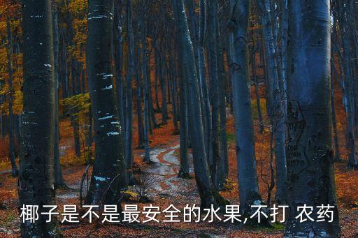 椰子是不是最安全的水果,不打 農(nóng)藥