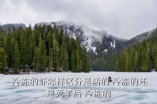 冷凍大蝦為什么會發黑,為什么冷凍大蝦有農藥味道