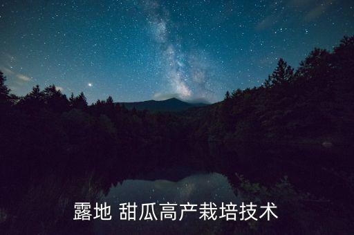 露地 甜瓜高產栽培技術