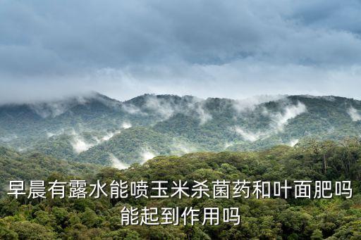 農藥底大胖有什么作用