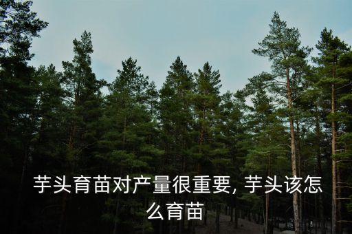  芋頭育苗對產量很重要, 芋頭該怎么育苗