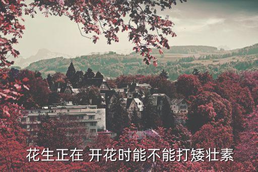  花生正在 開花時能不能打矮壯素