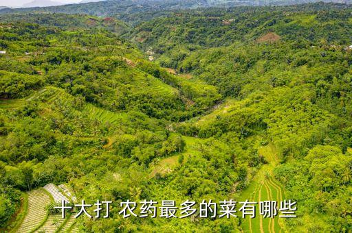 十大打 農(nóng)藥最多的菜有哪些