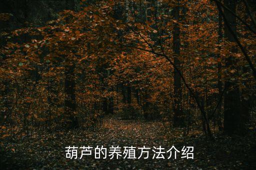  葫蘆的養殖方法介紹