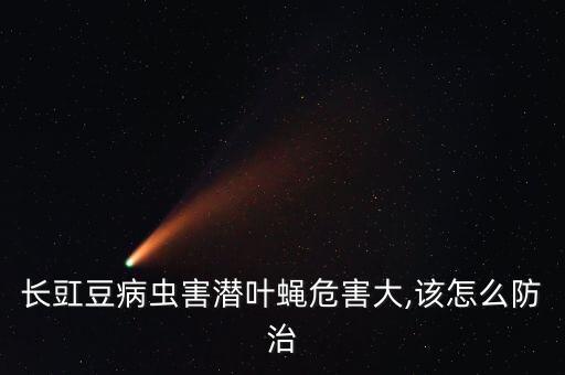潛葉蟲(chóng)用什么農(nóng)藥殺滅,小猿葉蟲(chóng)用什么農(nóng)藥殺