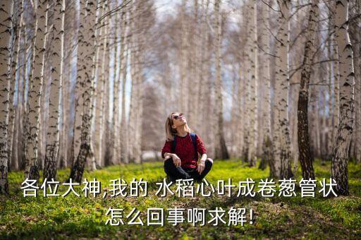 水稻出蔥該用什么農藥