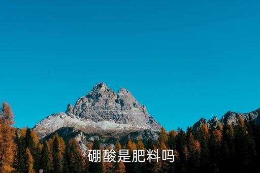  硼酸是肥料嗎