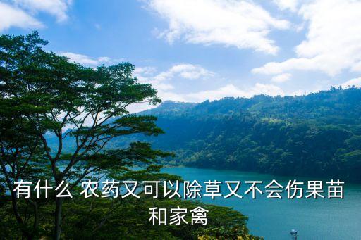 是什么農藥噴草藥效好,農藥的藥效是什么相互作用的結果