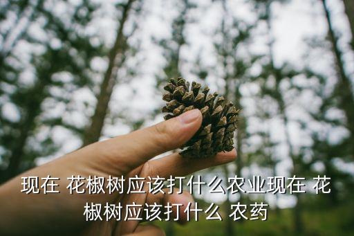 花椒樹上有什么農(nóng)藥,冬季花椒樹上什么肥好